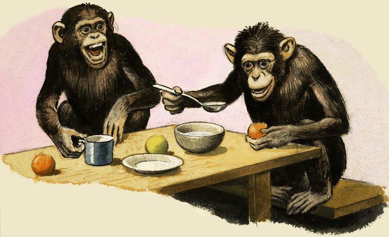 Z comme Zoo. Le goûter du chimpanzé - R.B. Davis