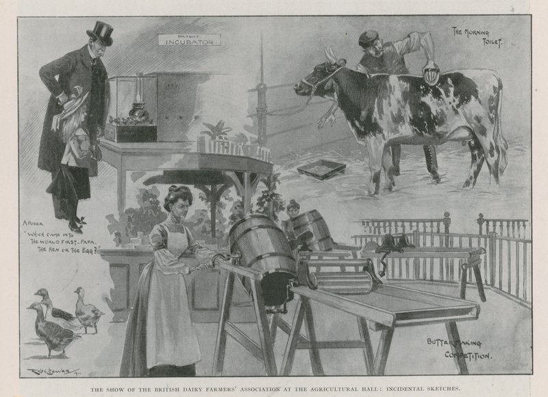 Le spectacle de l