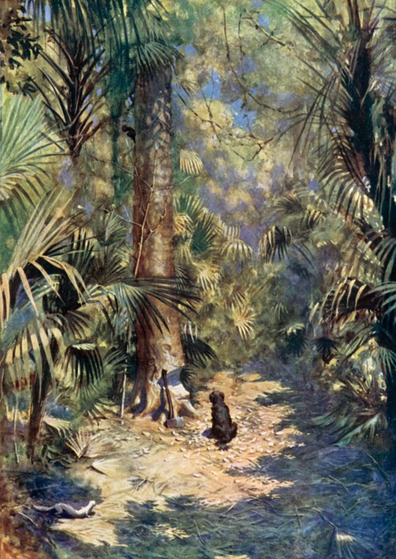 Illustration pour Robinson Crusoé de Daniel Defoe - Ralph Noel Pocock