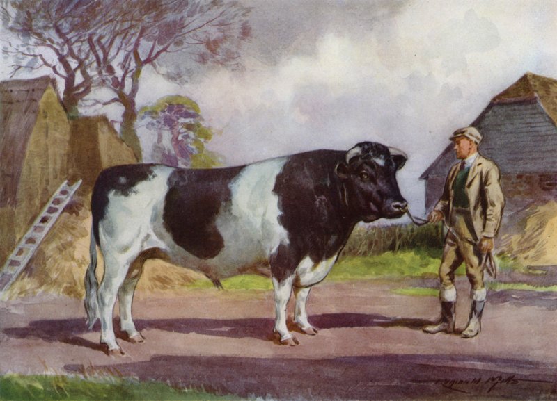 Illustration pour Ma Ferme - Reginald Mills
