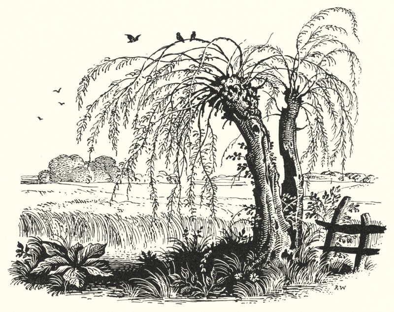 Hans Christian Andersen : Le Sarrasin - Rex (after) Whistler
