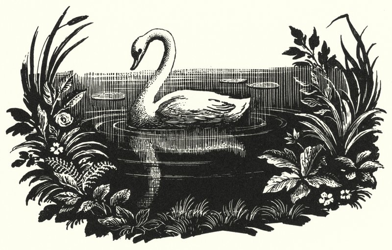 Hans Christian Andersen : Le Vilain Petit Canard - Rex (after) Whistler