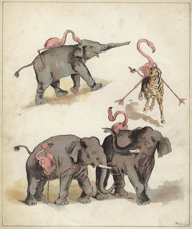 Éléphants et flamants roses - Richard Andre