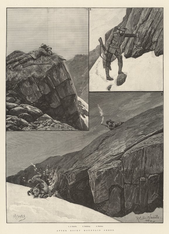 Après le Mouflon des Montagnes Rocheuses - Richard Caton Woodville junior