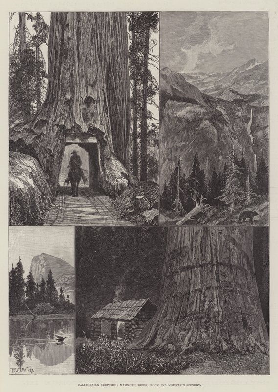 Esquisses californiennes, arbres mammouths, rochers et paysages de montagne - Richard Caton Woodville junior
