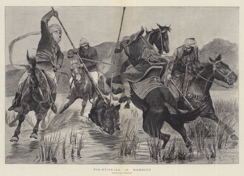 Chasse au sanglier au Maroc - Richard Caton Woodville junior