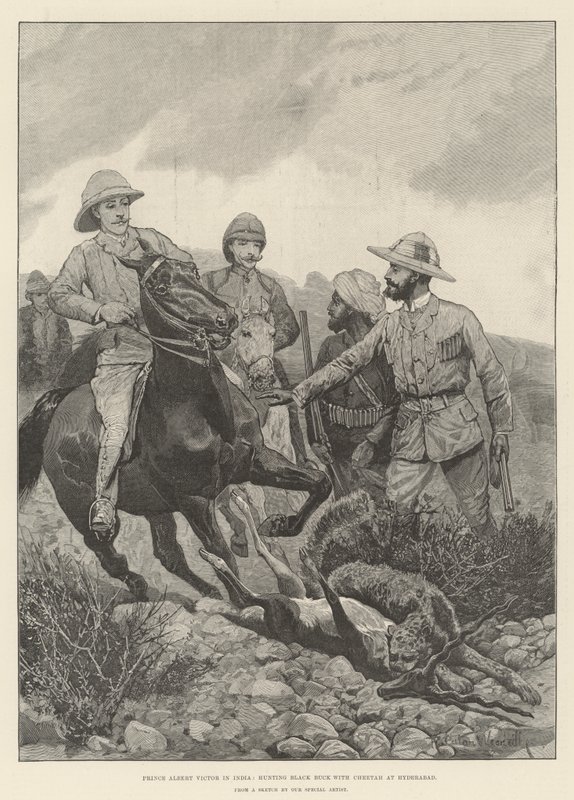 Le prince Albert Victor en Inde, chassant le Black Buck avec un guépard à Hyderabad - Richard Caton Woodville junior