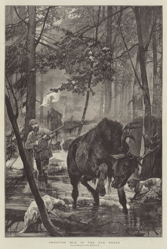 Chasse à l