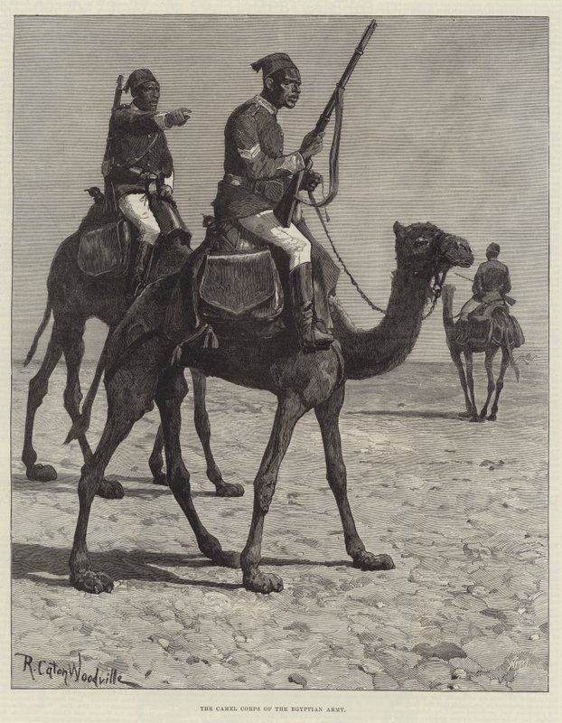 Le Corps de chameaux de l