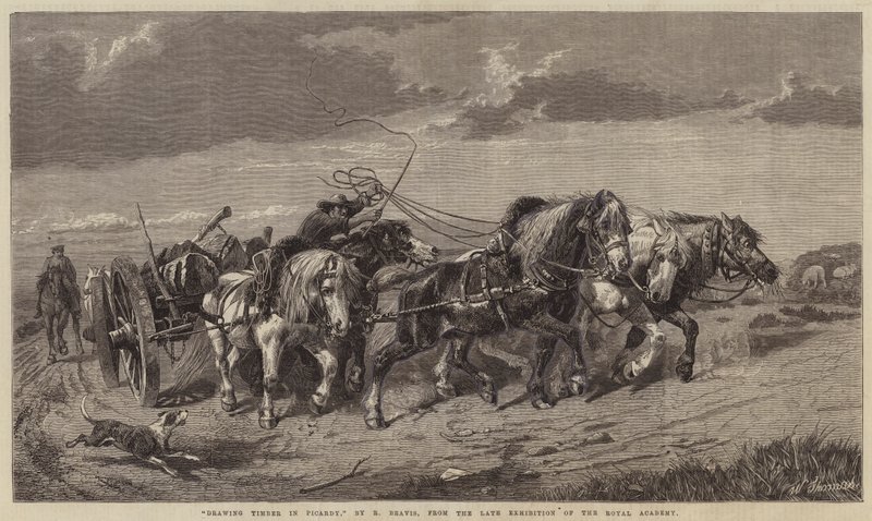 Transport de bois en Picardie - Richard Beavis