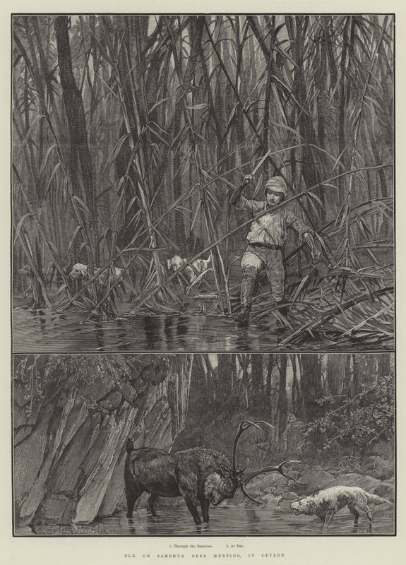 Chasse à l