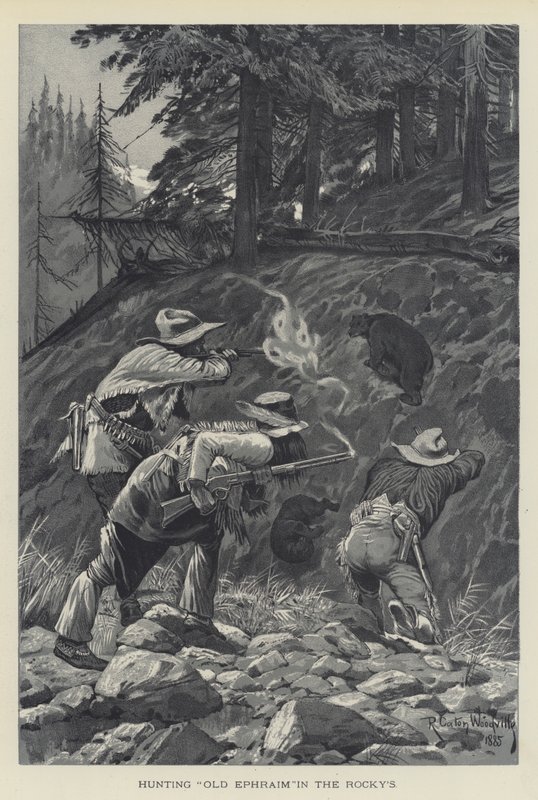 Chasse à Old Ephraim dans les Rocheuses - Richard Caton Woodville junior