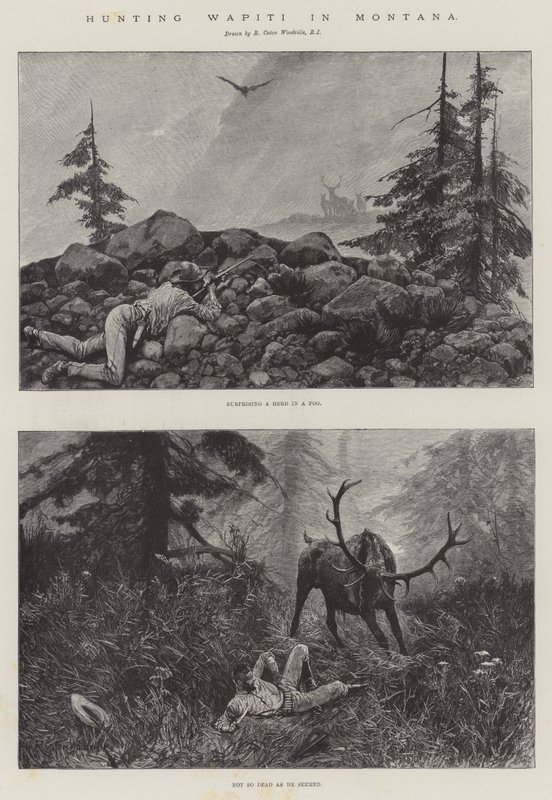 Chasse au wapiti dans le Montana - Richard Caton Woodville junior