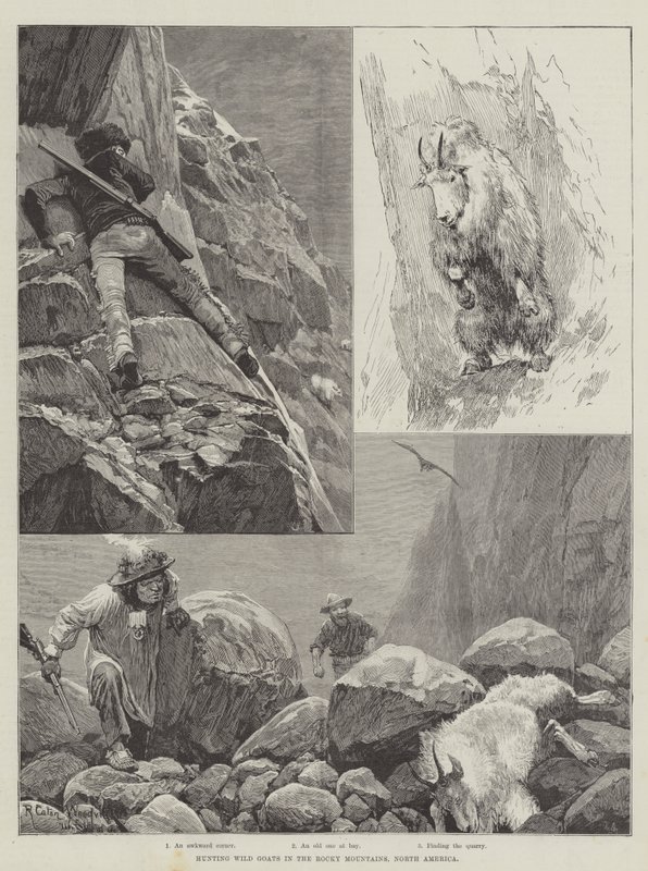Chasse aux chèvres sauvages dans les montagnes Rocheuses, Amérique du Nord - Richard Caton Woodville junior