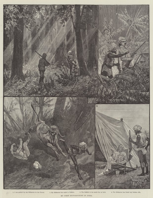 Ma première chasse au buffle en Inde - Richard Caton Woodville junior