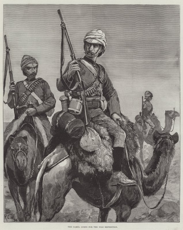 Le corps de chameaux pour l