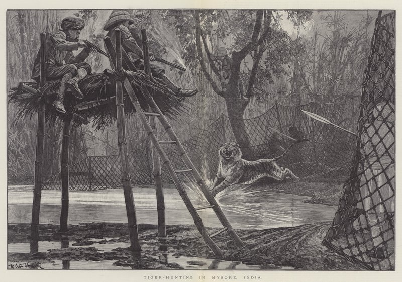Chasse au tigre à Mysore, Inde - Richard Caton Woodville junior