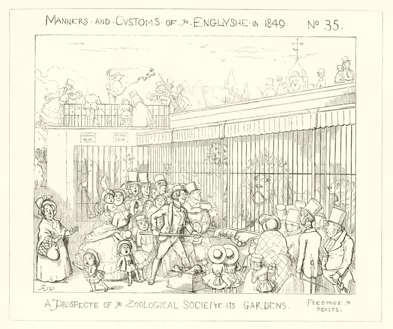 1849, Une perspective des jardins de la Société zoologique - Richard Doyle