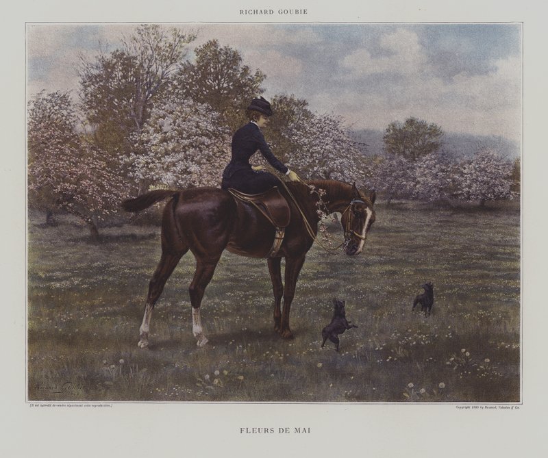 Fleurs de Mai - Richard Doyle