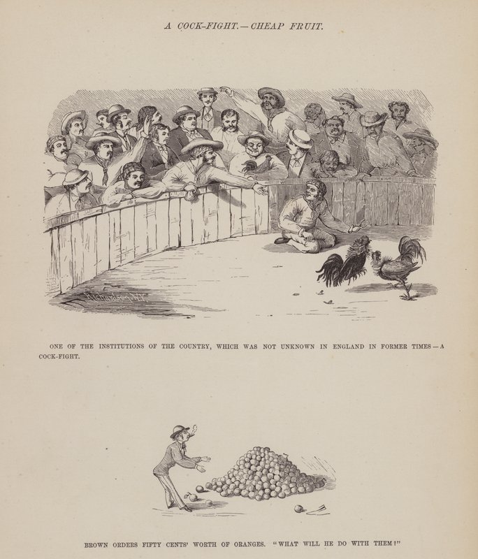 Page du Tour américain de Messieurs Brown, Jones et Robinson - Richard Doyle
