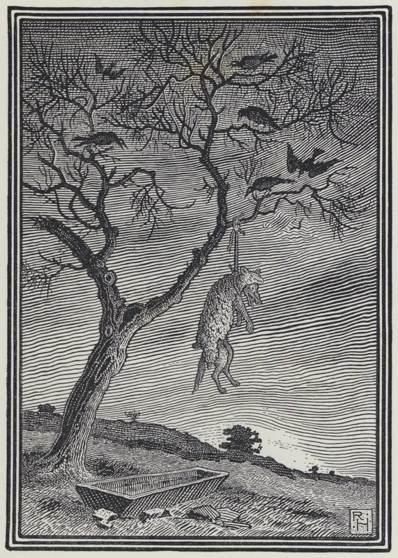 Le Loup en habit de mouton - Richard Heighway