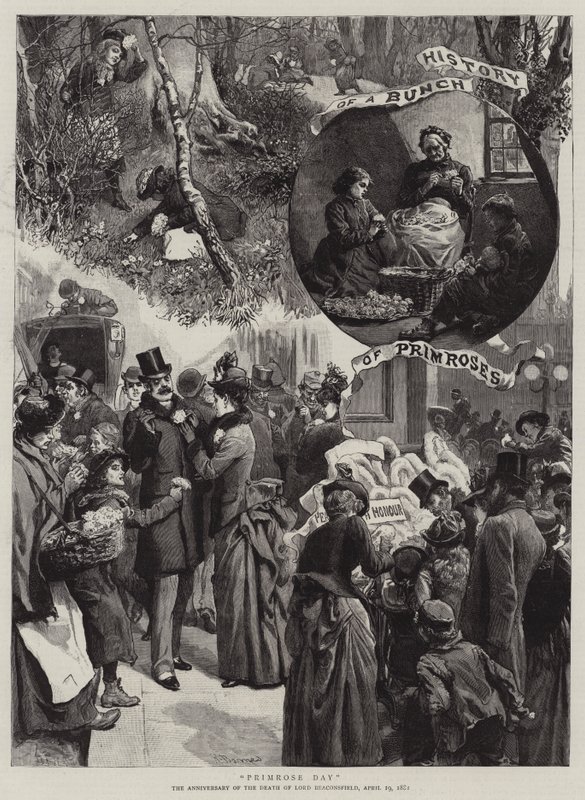 Jour de la Primevère - Robert Barnes