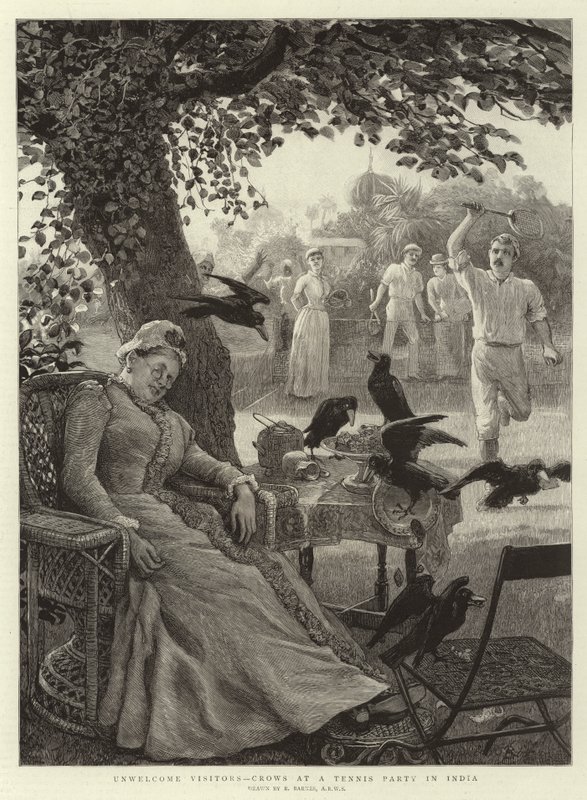 Visiteurs indésirables, corbeaux à une fête de tennis en Inde - Robert Barnes