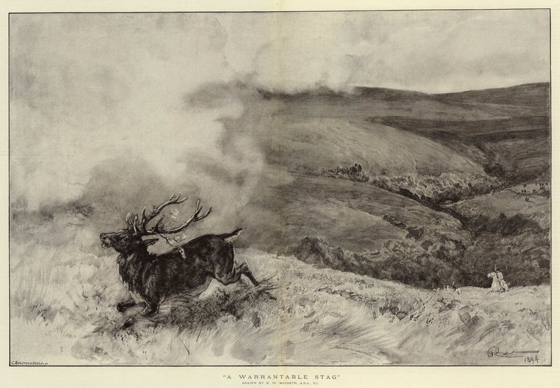 Un cerf justifiable - Robert Walker Macbeth