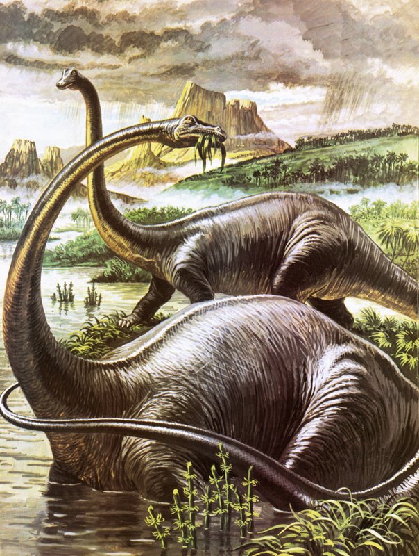 Diplodocus - Roger Payne