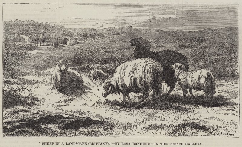 Moutons dans un paysage, Bretagne - Rosa Bonheur