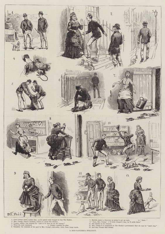 Stratégie d