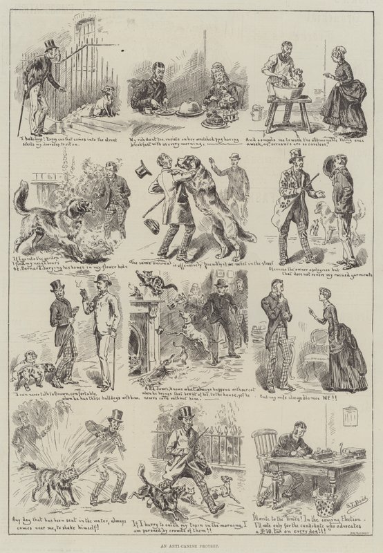 Une Protestation anti-canine - S.T. Dadd
