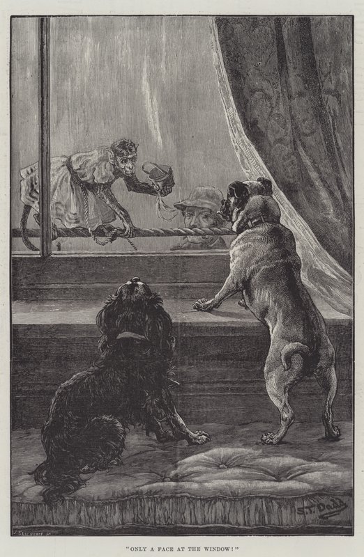 Seulement un visage à la fenêtre - S.T. Dadd
