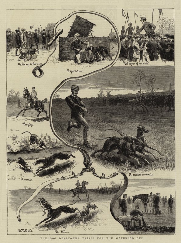 Le Derby des chiens, les essais pour la Coupe de Waterloo - S.T. Dadd