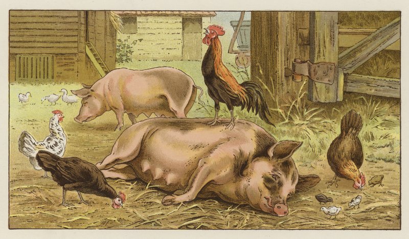 La familiarité engendre le mépris - S.T. Dadd