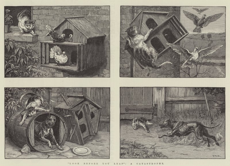 Regarde avant de Sauter, une Catastrophe - S.T. Dadd