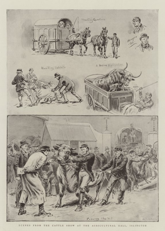 Scènes du salon de l