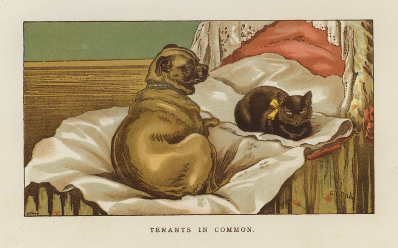 Locataires en commun - S.T. Dadd