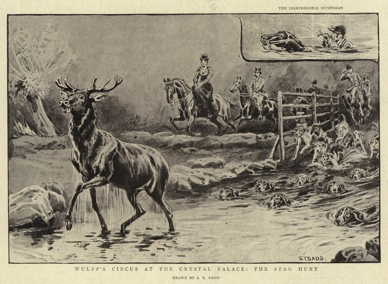 Le cirque de Wulff au Crystal Palace, la chasse au cerf - S.T. Dadd