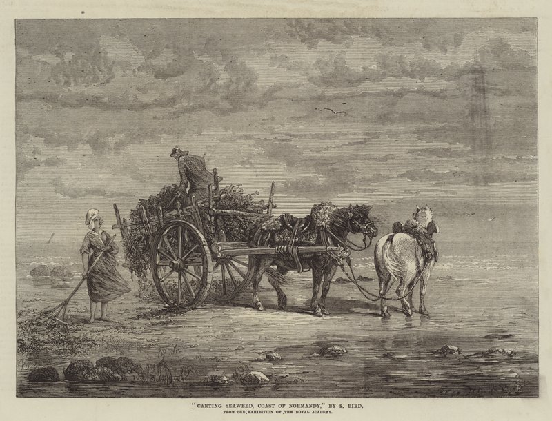Transport d
