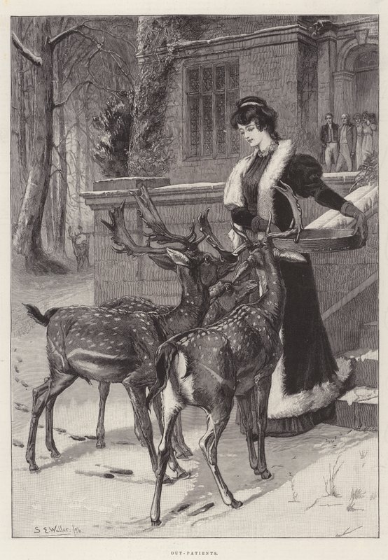 Patients externes - Samuel Edmund Waller