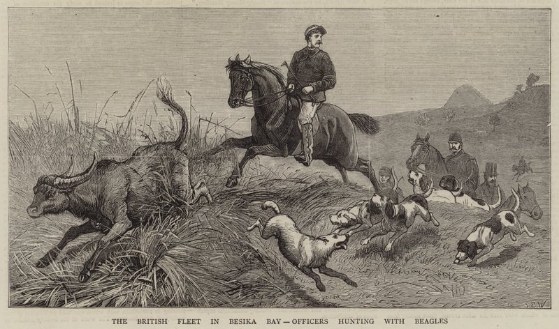 La flotte britannique dans la baie de Besika, officiers chassant avec des beagles - Samuel Edmund Waller