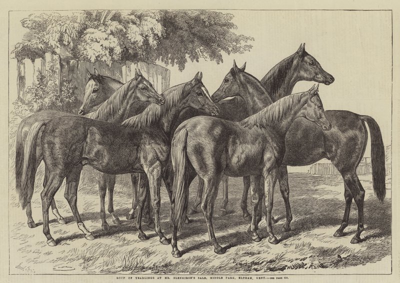 Groupe de yearlings à la vente de M. Blenkiron, Middle Park, Eltham, Kent - Samuel John Carter
