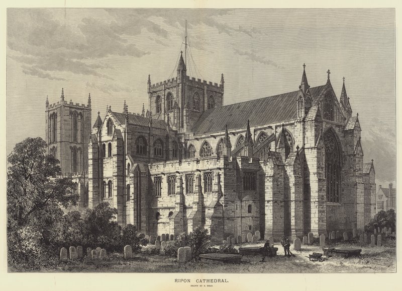 Cathédrale de Ripon - Samuel Read