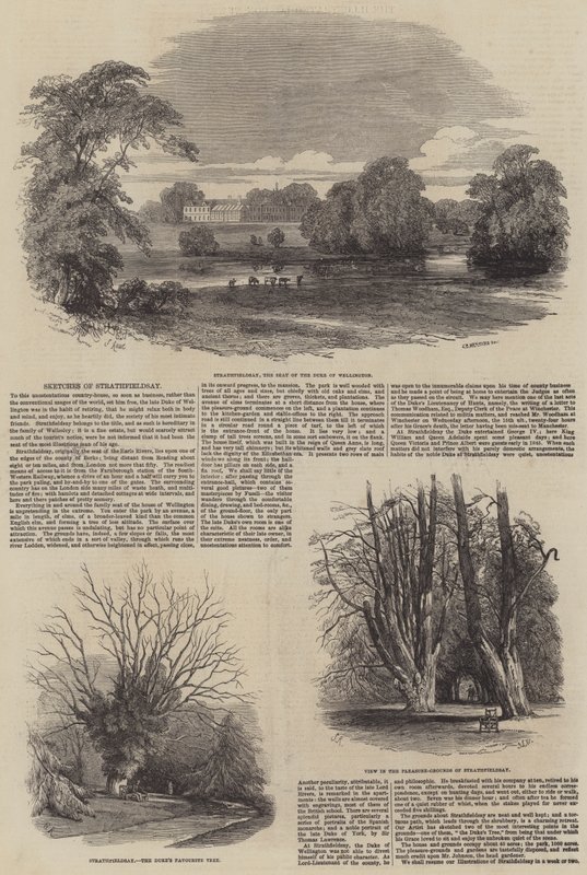 Croquis de Strathfieldsay - Samuel Read