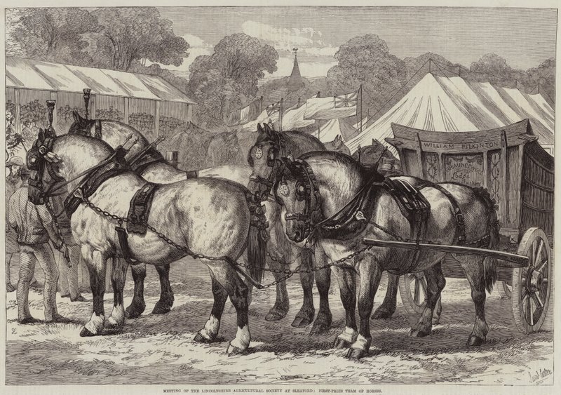 Réunion de la Société Agricole du Lincolnshire à Sleaford, équipe de chevaux primée - Samuel John Carter