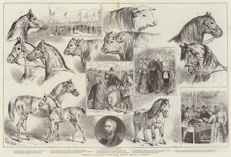 Croquis à la réunion de la Royal Agricultural Society à Norwich - Samuel John Carter