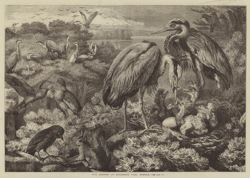 La héronnière à Didlington Park, Norfolk - Samuel John Carter