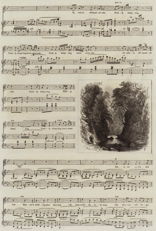 Écho - Samuel Read
