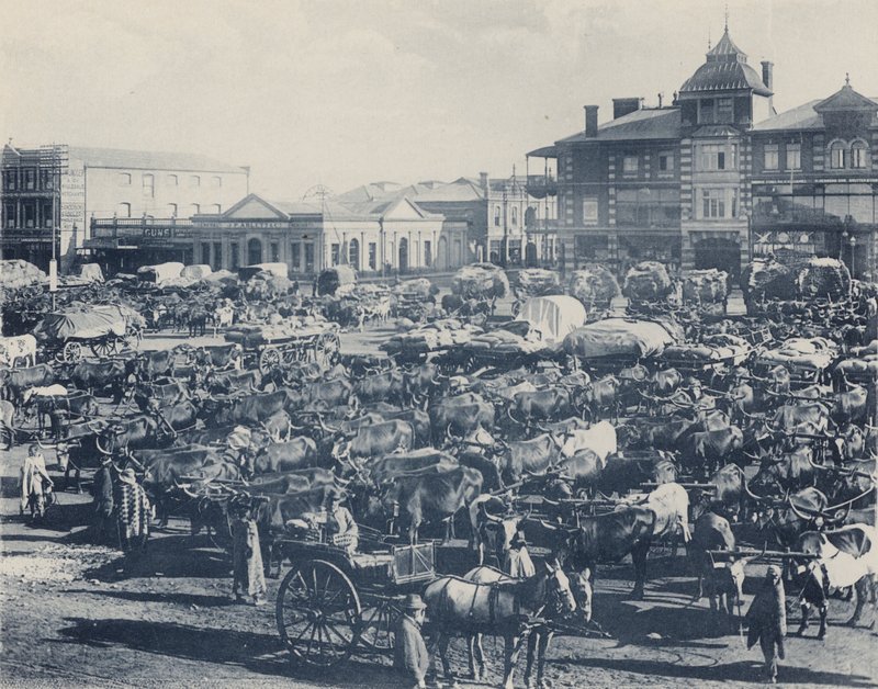 Marché du matin - South African Photographer